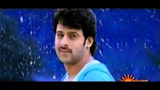 డార్లింగ్ előzetes