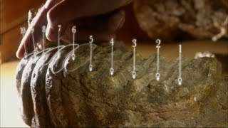 Woolly Mammoth: Secrets from the Ice előzetes