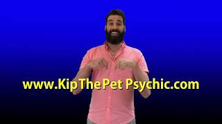 The Pet Psychic előzetes