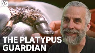 The Platypus Guardian előzetes