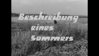 Beschreibung eines Sommers előzetes