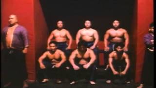 Kickbox harcos 2 előzetes