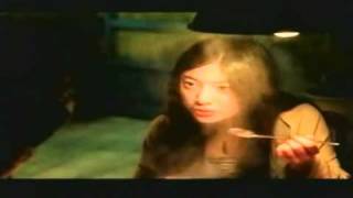 카멜리아 előzetes