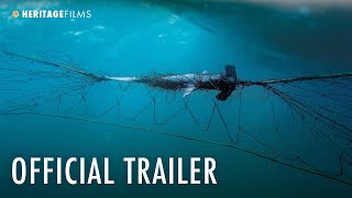 Envoy: Shark Cull előzetes