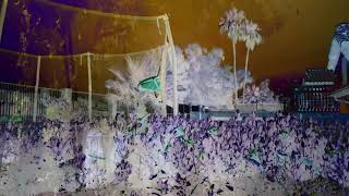 Revisited Remunerations Rapturously Collapse When Recompensed előzetes