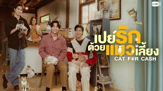 เปย์รักด้วยแมวเลี้ยง előzetes