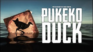 Pukeko Duck előzetes