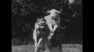 The Sheep Stealer előzetes