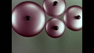 Color and Texture in Aluminum Finishes előzetes