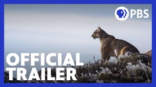 Pumas: Legends of the Ice Mountains előzetes