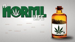 A Norml Life előzetes