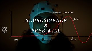 Free Will előzetes