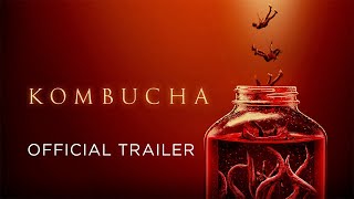 Kombucha előzetes