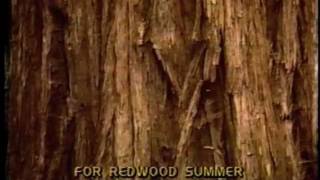 Redwood Summer előzetes
