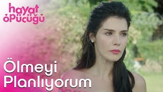 Hayat Öpücüğü előzetes