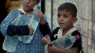 H2O: The Molecule that Made Us előzetes