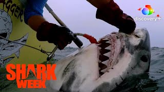 Great White Serial Killer: Fatal Christmas előzetes
