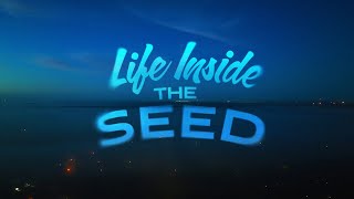 Life Inside the Seed előzetes