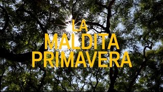 La maldita primavera előzetes
