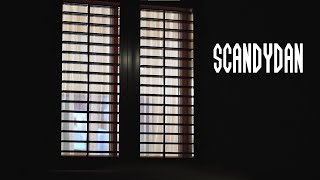Scandydan előzetes