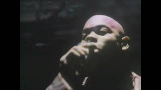 Blackmale előzetes
