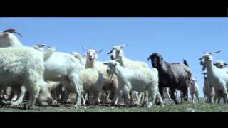 Territorios extraordinarios előzetes