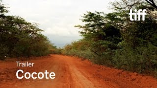 Cocote előzetes