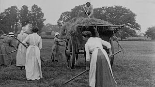 Women Hay Makers előzetes