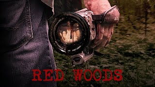 Red Woods előzetes