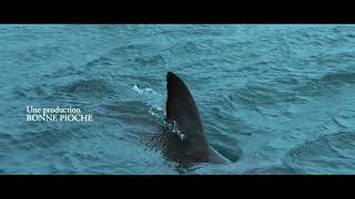 Au plus près des requins előzetes