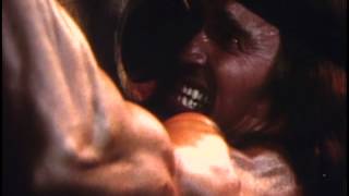 Conan the Destroyer előzetes