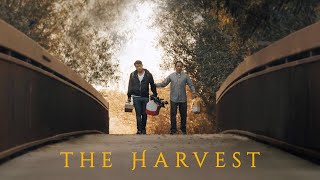 The Harvest előzetes