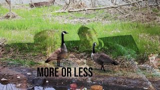More or Less előzetes