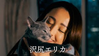 猫は抱くもの előzetes