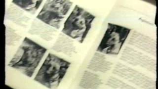 Going to the Dogs előzetes