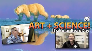 Snow Bear előzetes