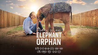 Diary of an Elephant Orphan előzetes