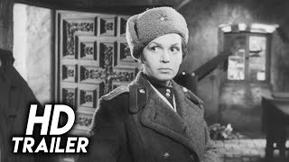Der Arzt von Stalingrad előzetes