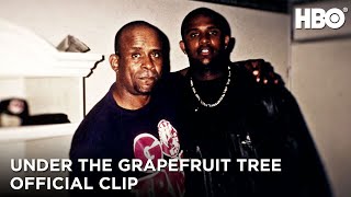 A grapefruit fa alatt: A CC Sabathia sztori előzetes