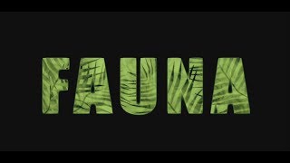 Fauna előzetes