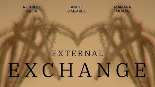 External Exchange előzetes