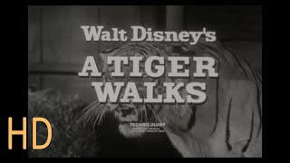 A Tiger Walks előzetes