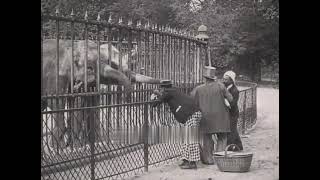 Odyssée d'un paysan à Paris előzetes