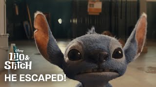 Lilo és Stitch - A csillagkutya előzetes