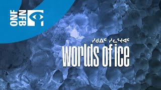Worlds of Ice előzetes