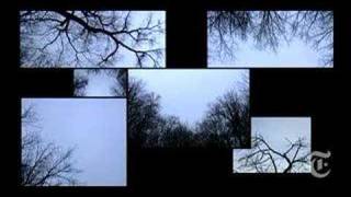 The Tracey Fragments előzetes