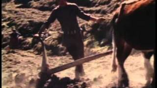 Himalayan Herders előzetes
