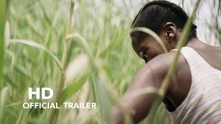 Five Tiger előzetes