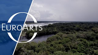 Teatro Amazonas – Musik im Regenwald előzetes