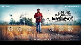 വലിയ ചിറകുള്ള പക്ഷികൾ előzetes